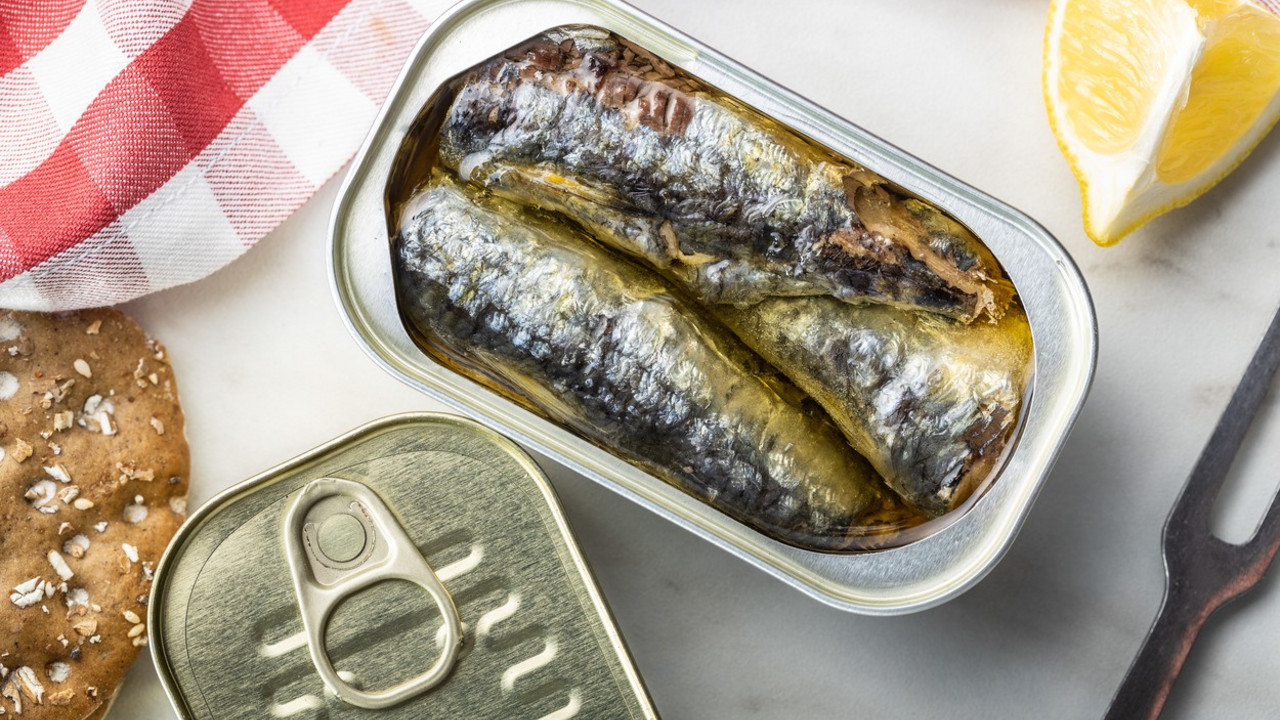 sardina