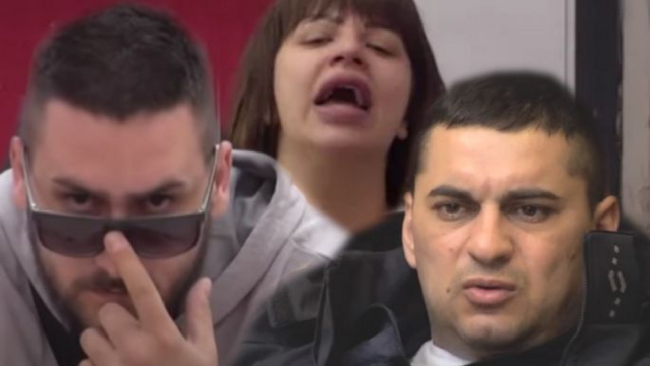 zadruga 5