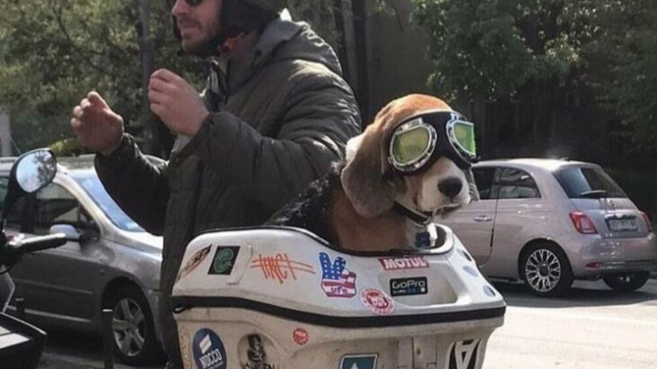 Bajker