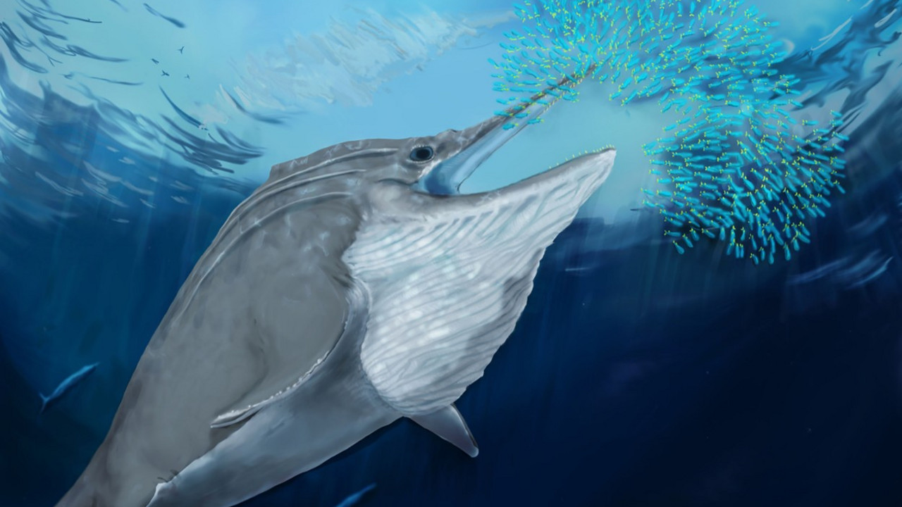 Ihtiosaurus