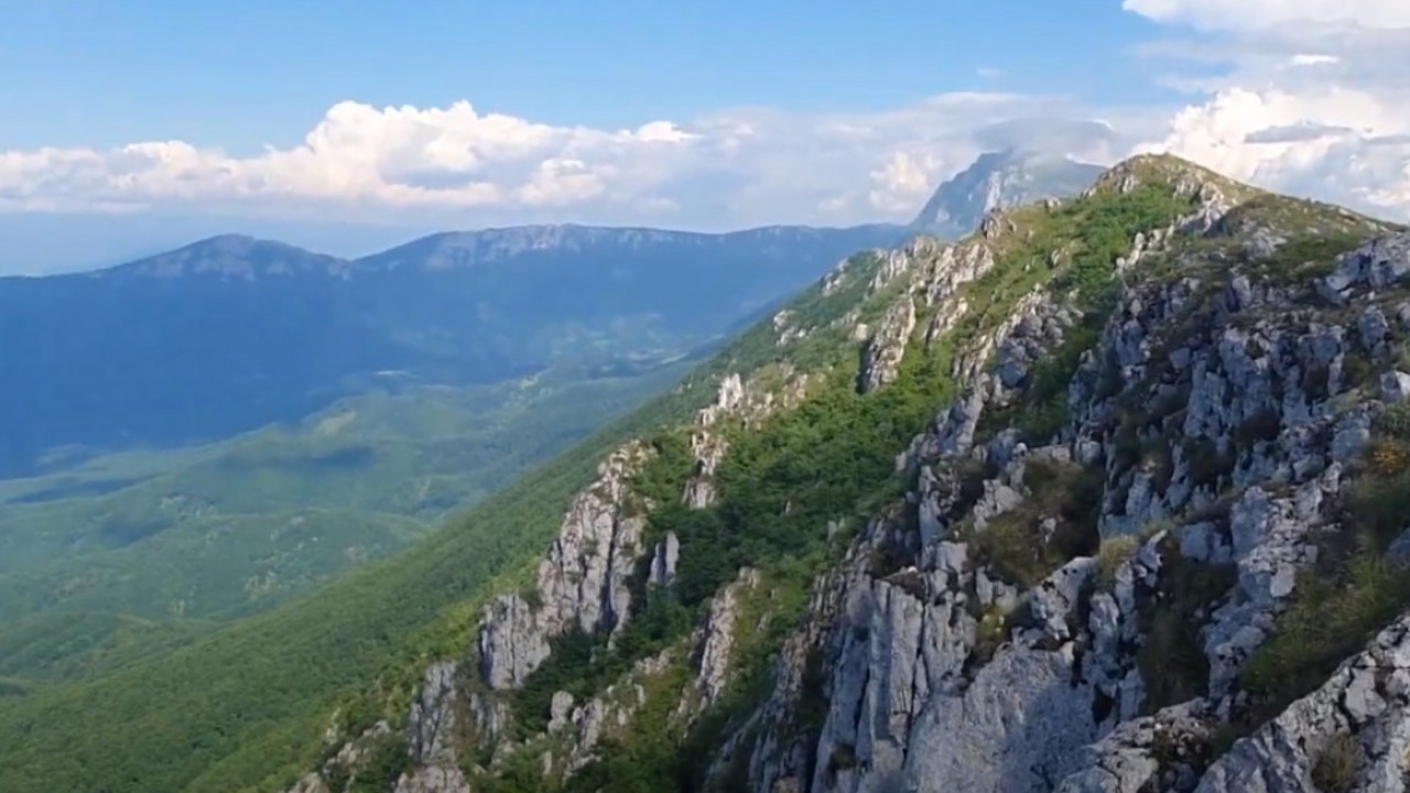 Suva planina