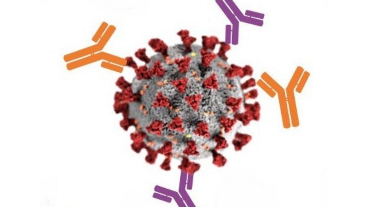 virus