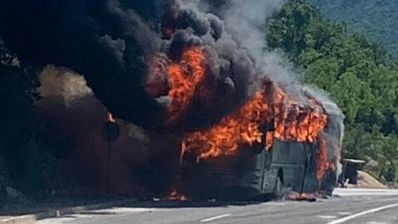 autobus