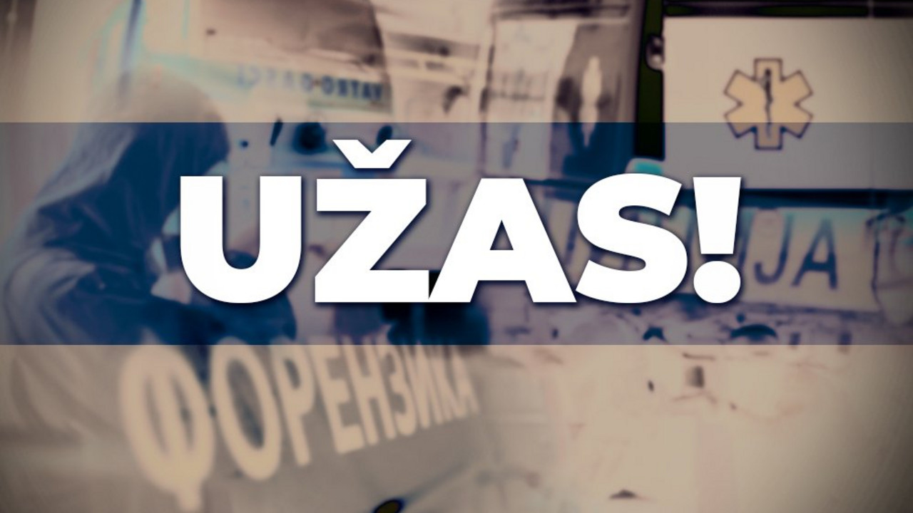 Užas