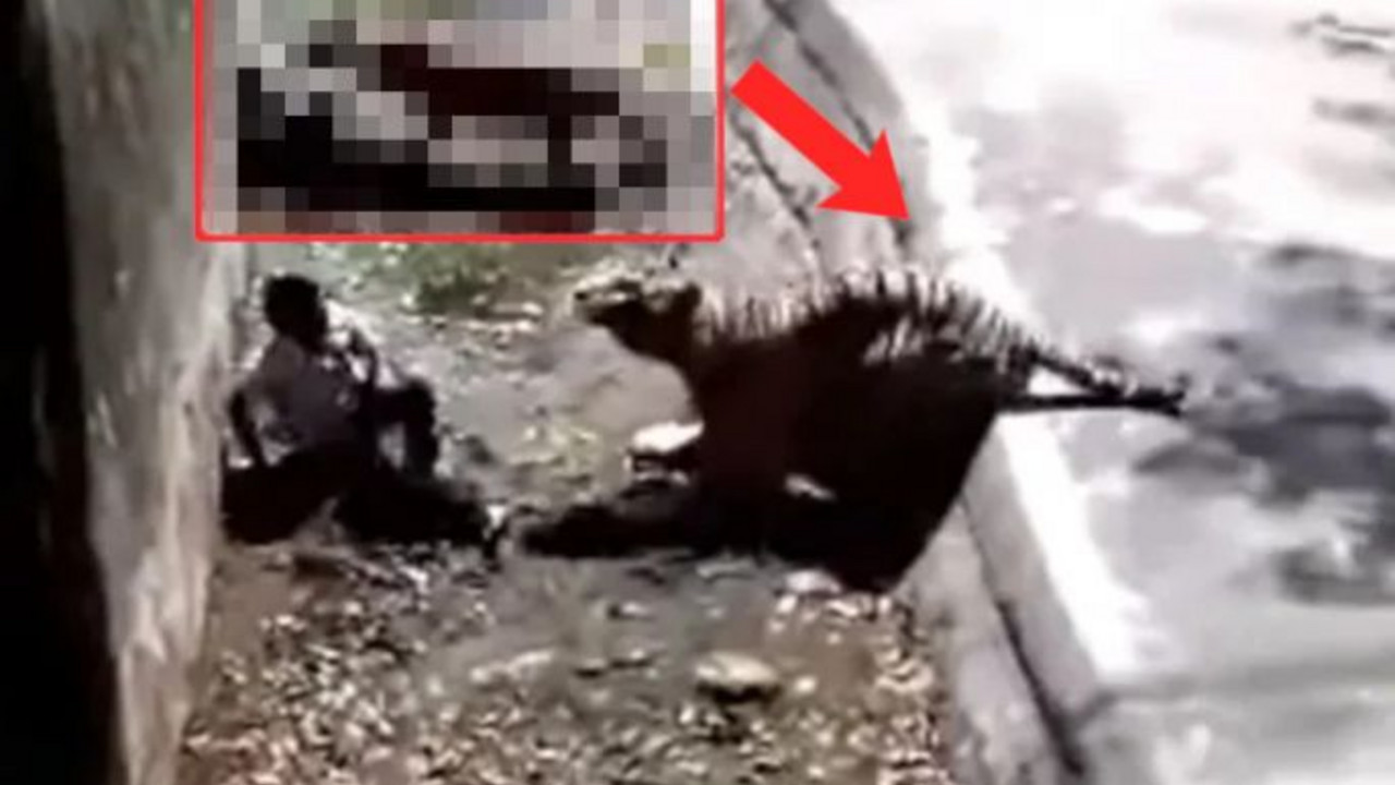 Napad tigra u zoo vrtu