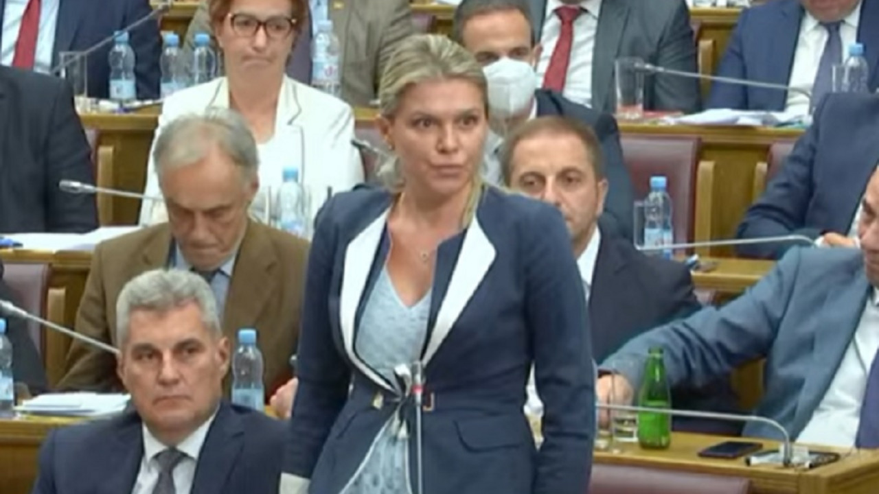 Draginja Vuksanović Stanković