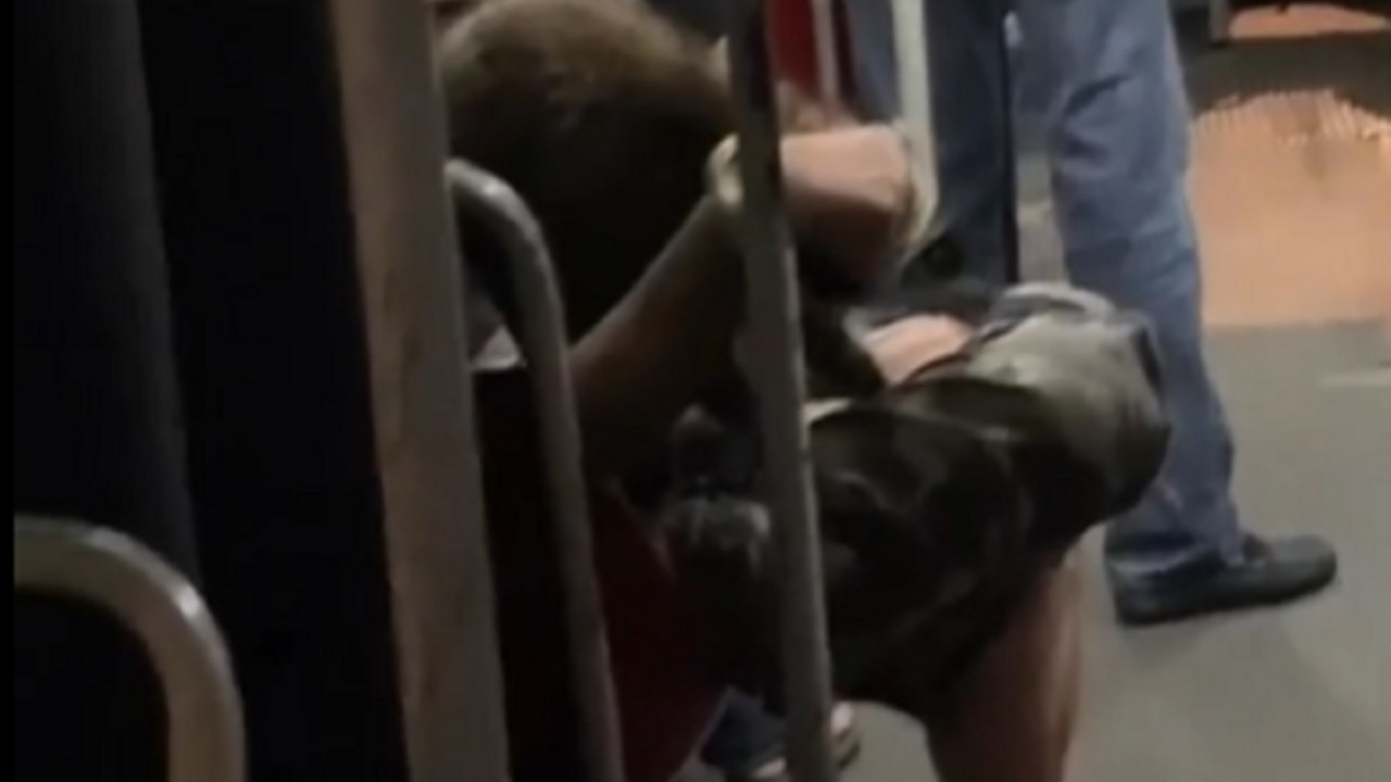 Rakun u tramvaju