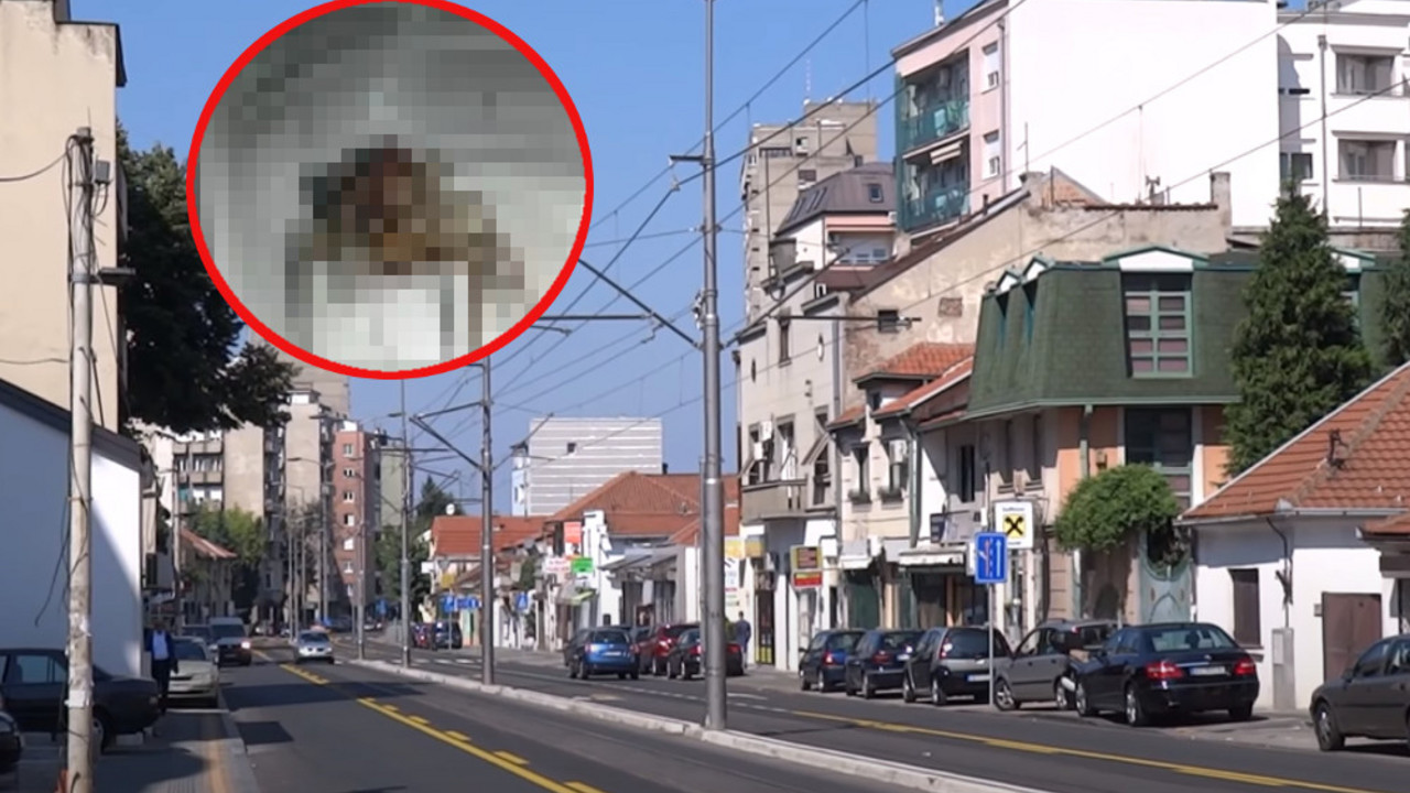 Voždovac