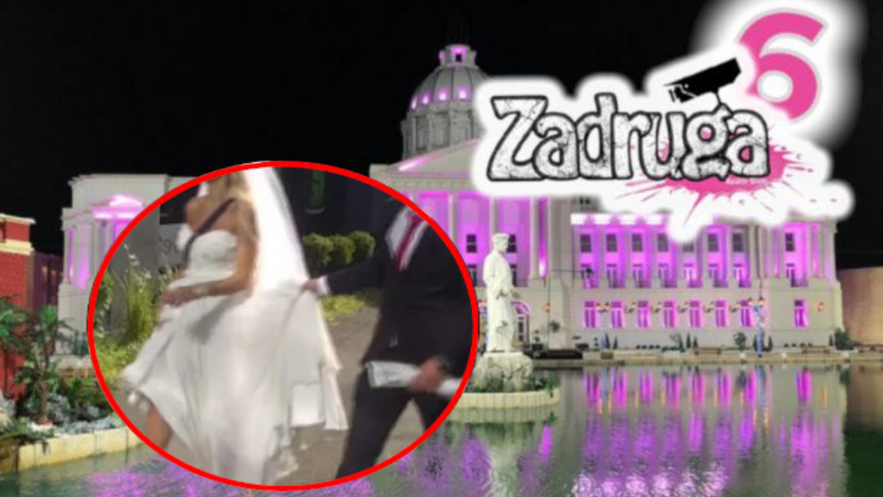 Zadruga 6