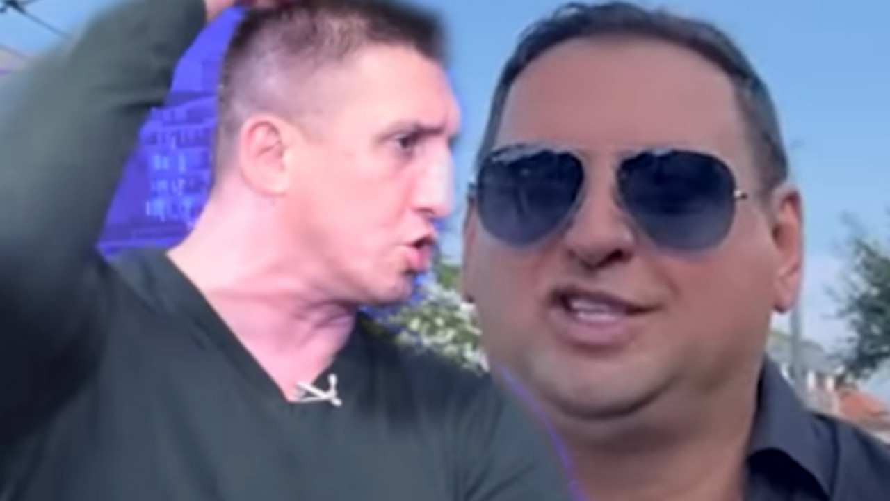 zadruga 6