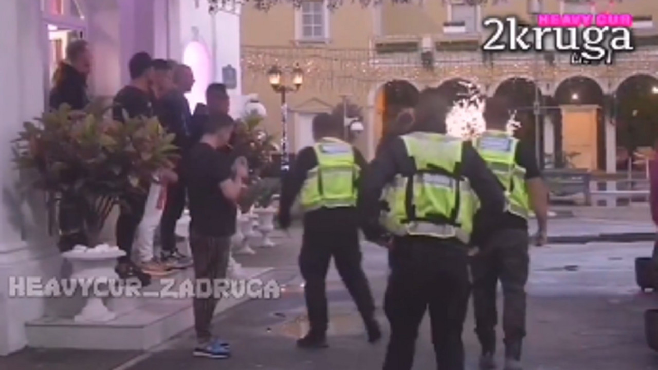 zadruga