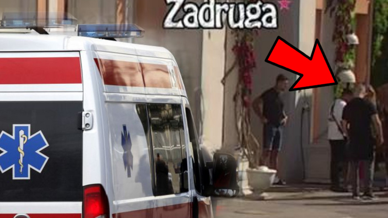 Zadruga 6