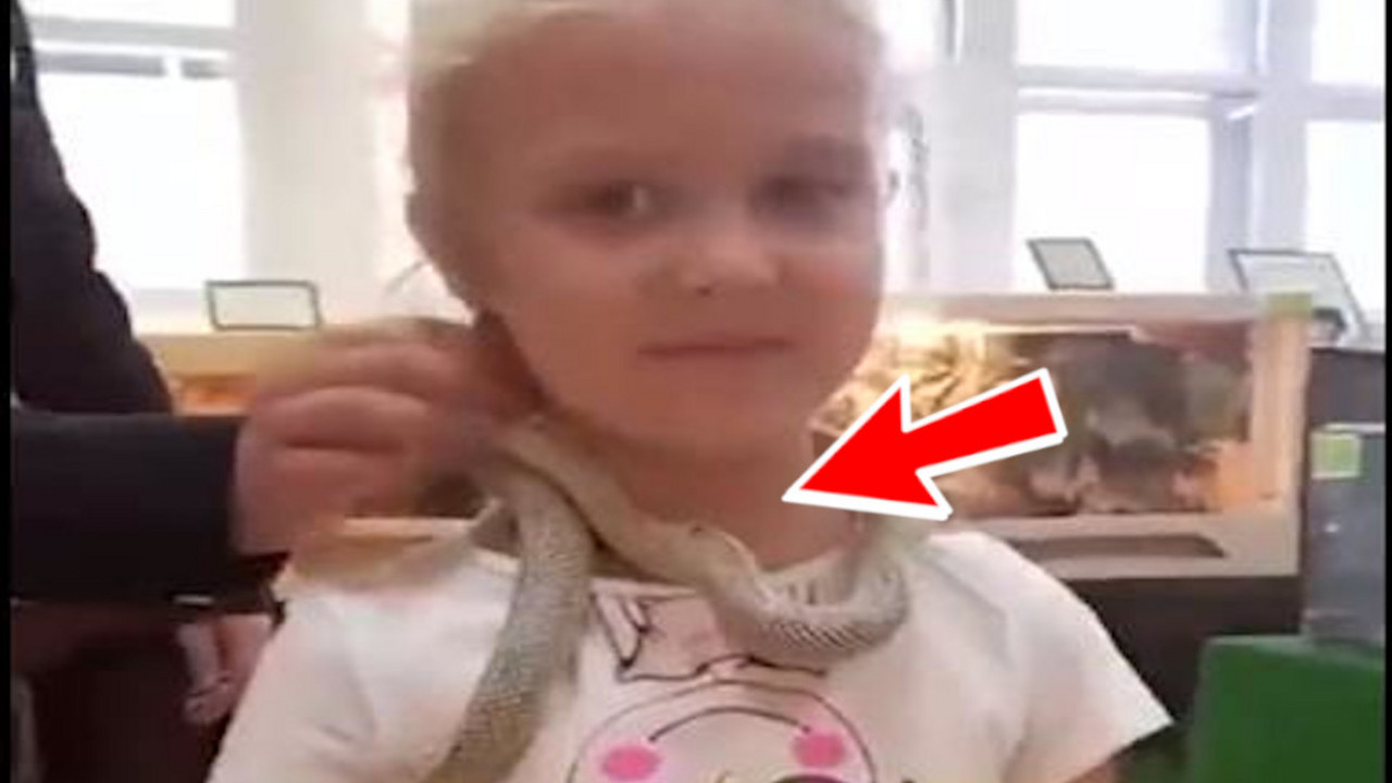 Napad zmije u zoološkom vrtu