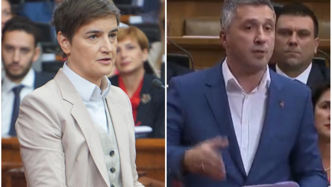 Brnabić i Obradović