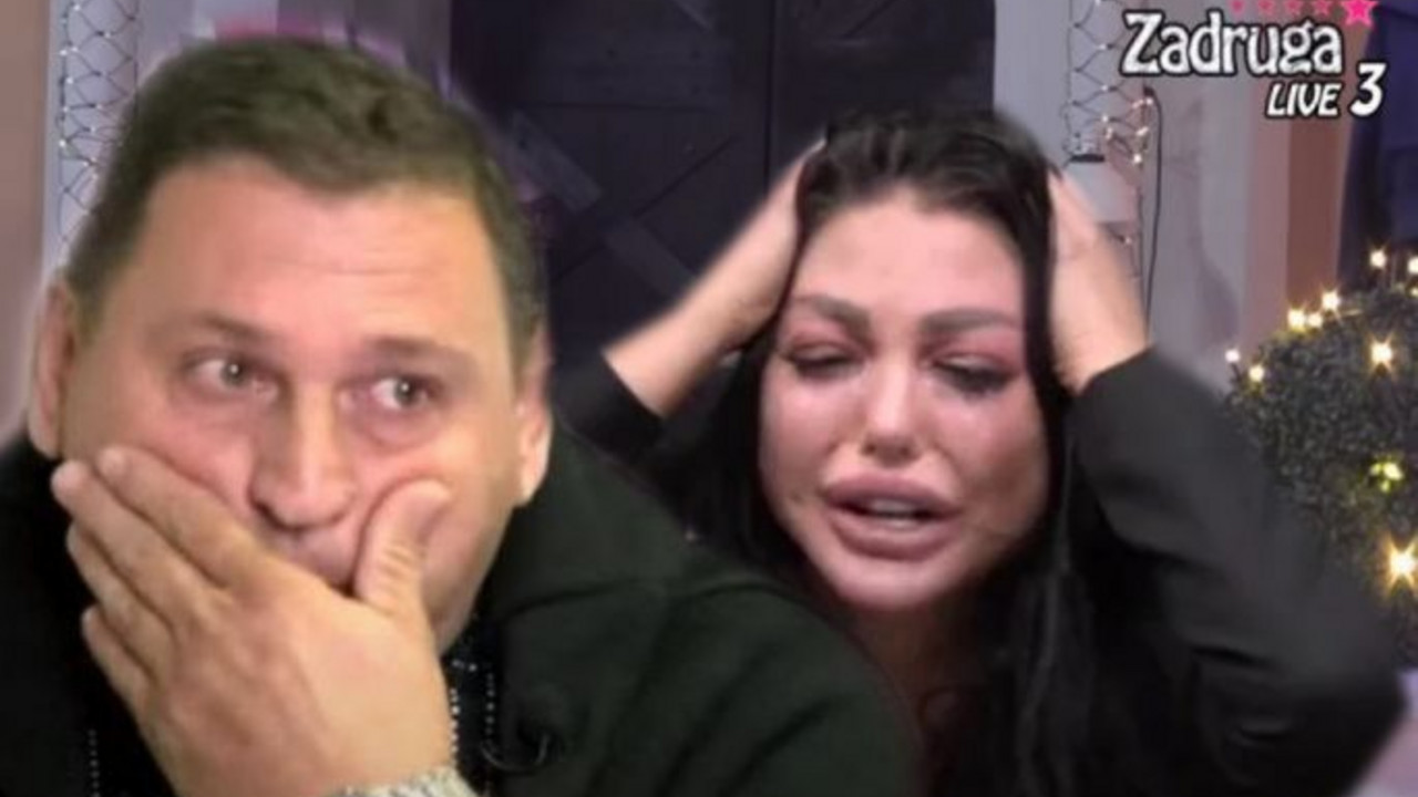 Zadruga 6