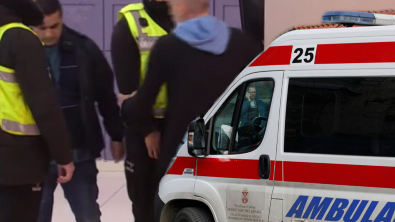 Zadruga 6