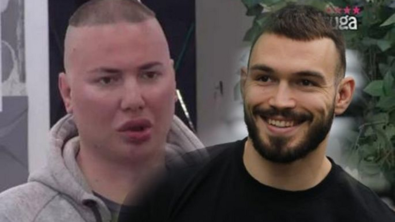 Zadruga 6
