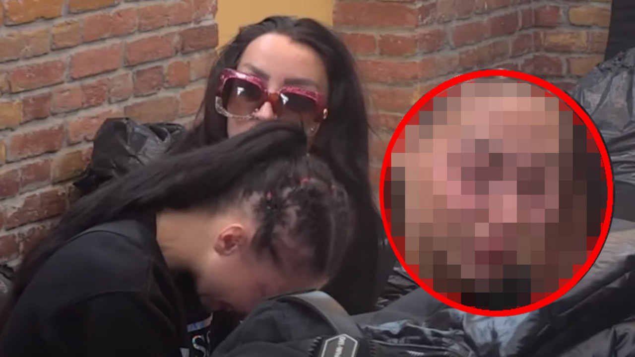 Zadruga 6