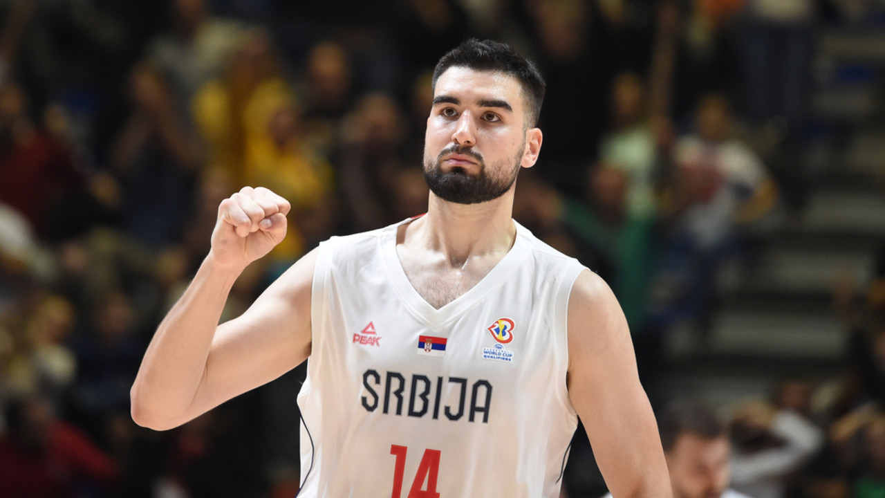 Dušan Ristić