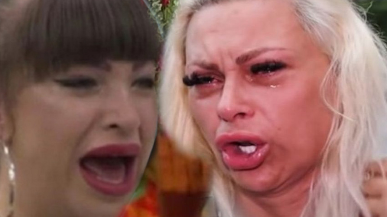 Zadruga 6
