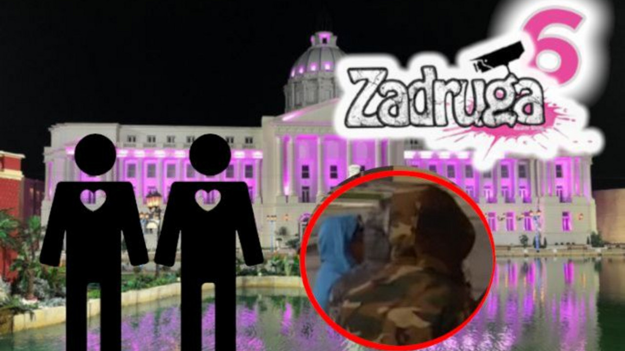 Zadruga 6