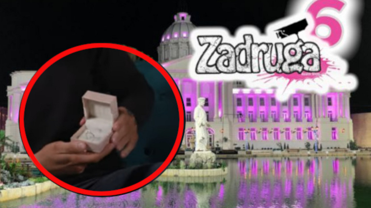 Zadruga 6