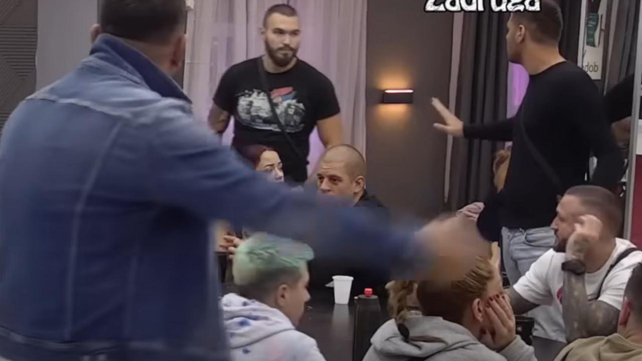 zadruga
