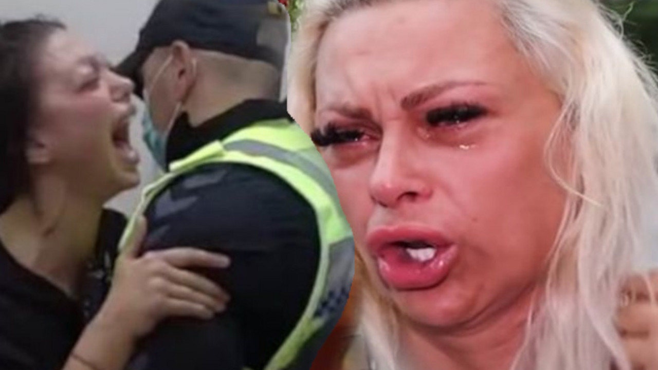 Zadruga 6