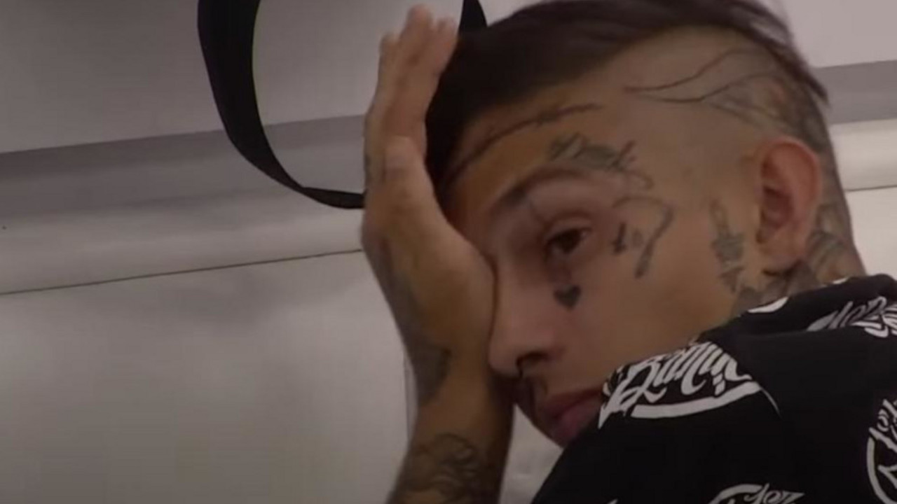 Zadruga 6