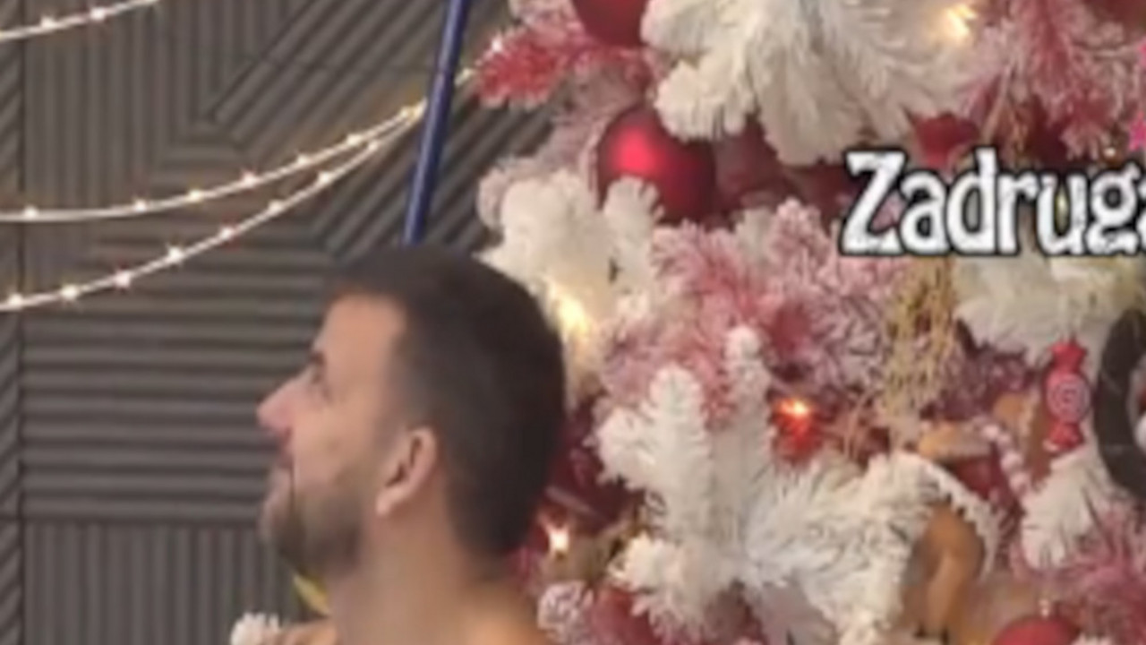 Zadruga 6