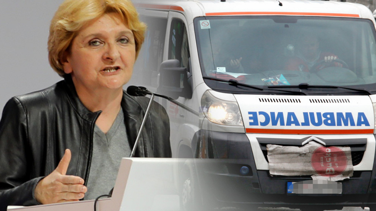 Danica Grujičić