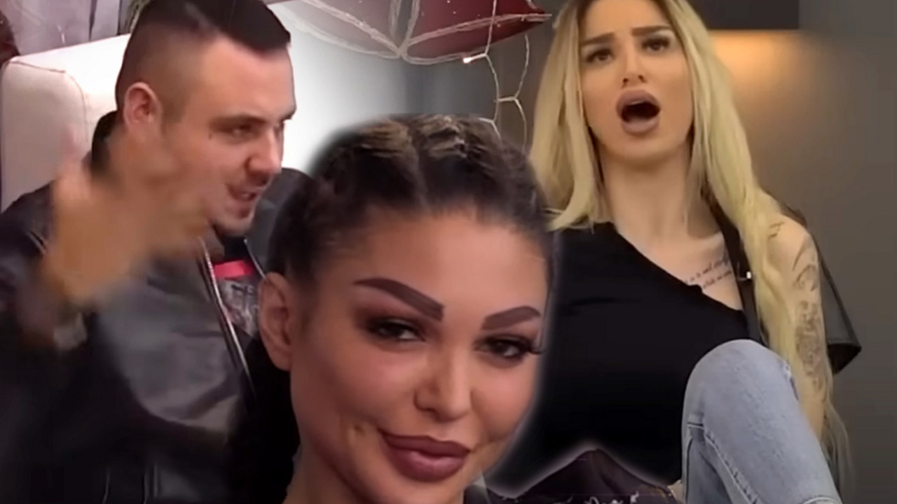 Zadruga 6