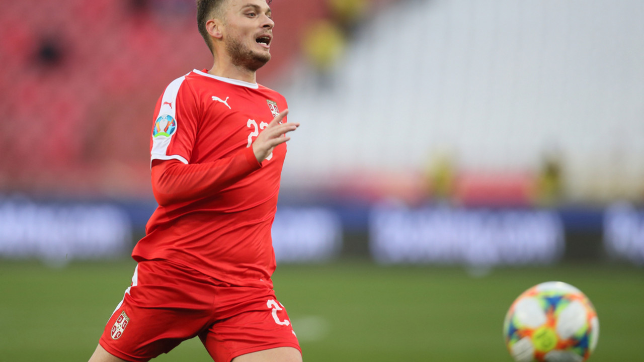 Adem Ljajić