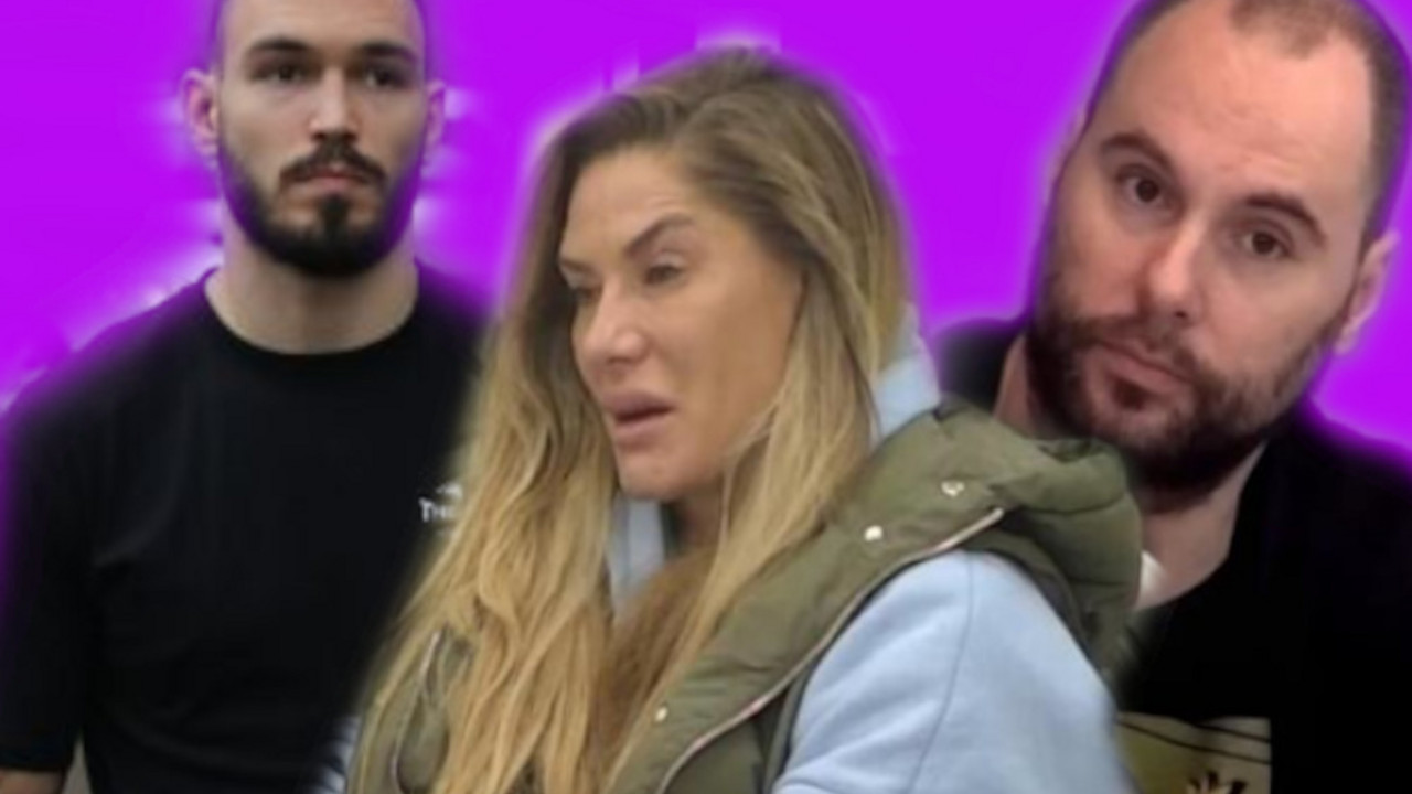 Zadruga 6