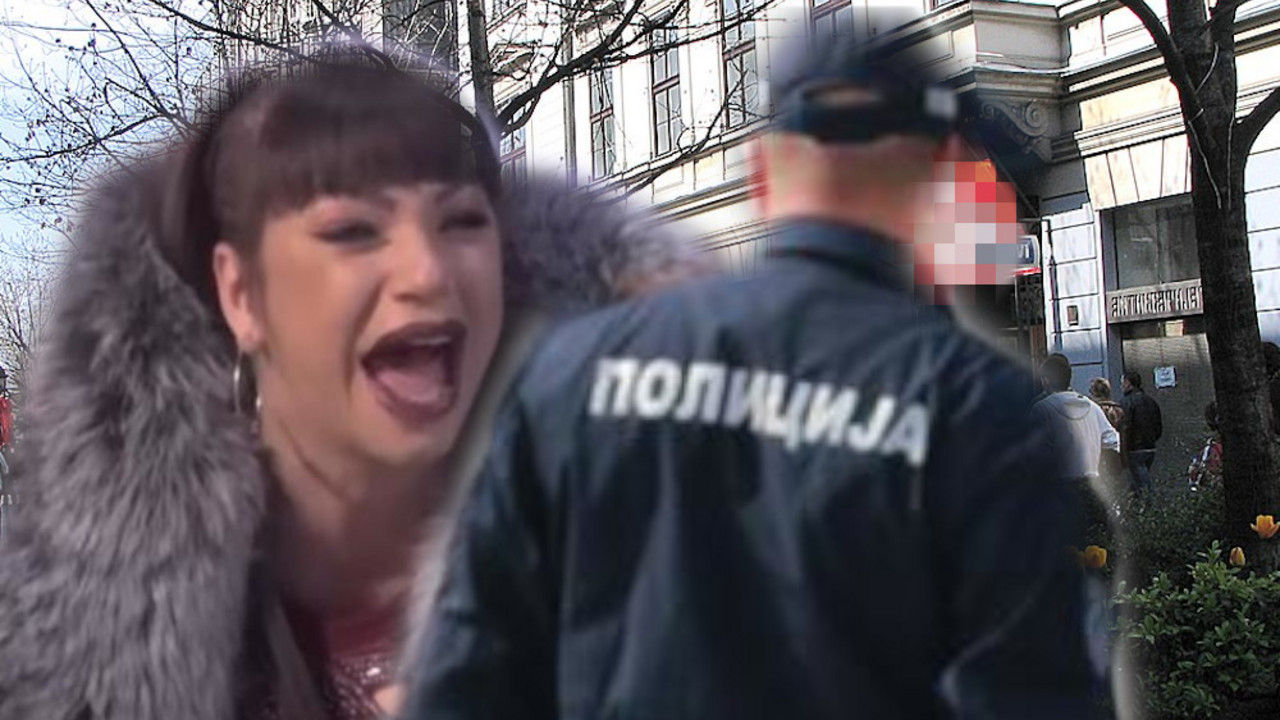 Zadruga 6