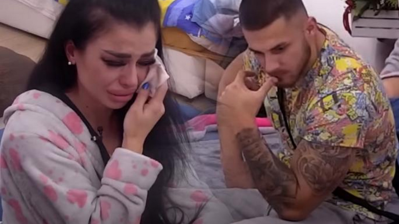zadruga 6