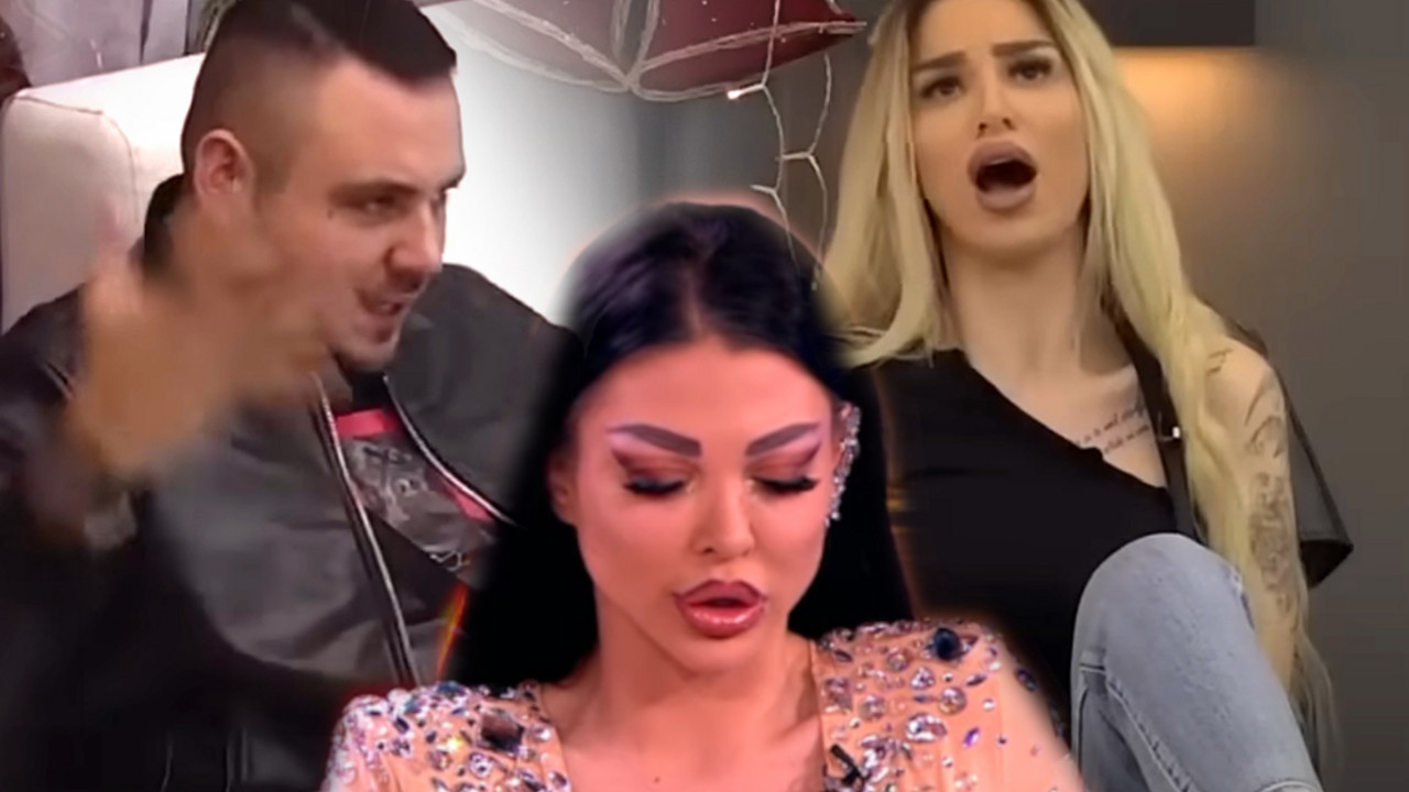zadruga 6