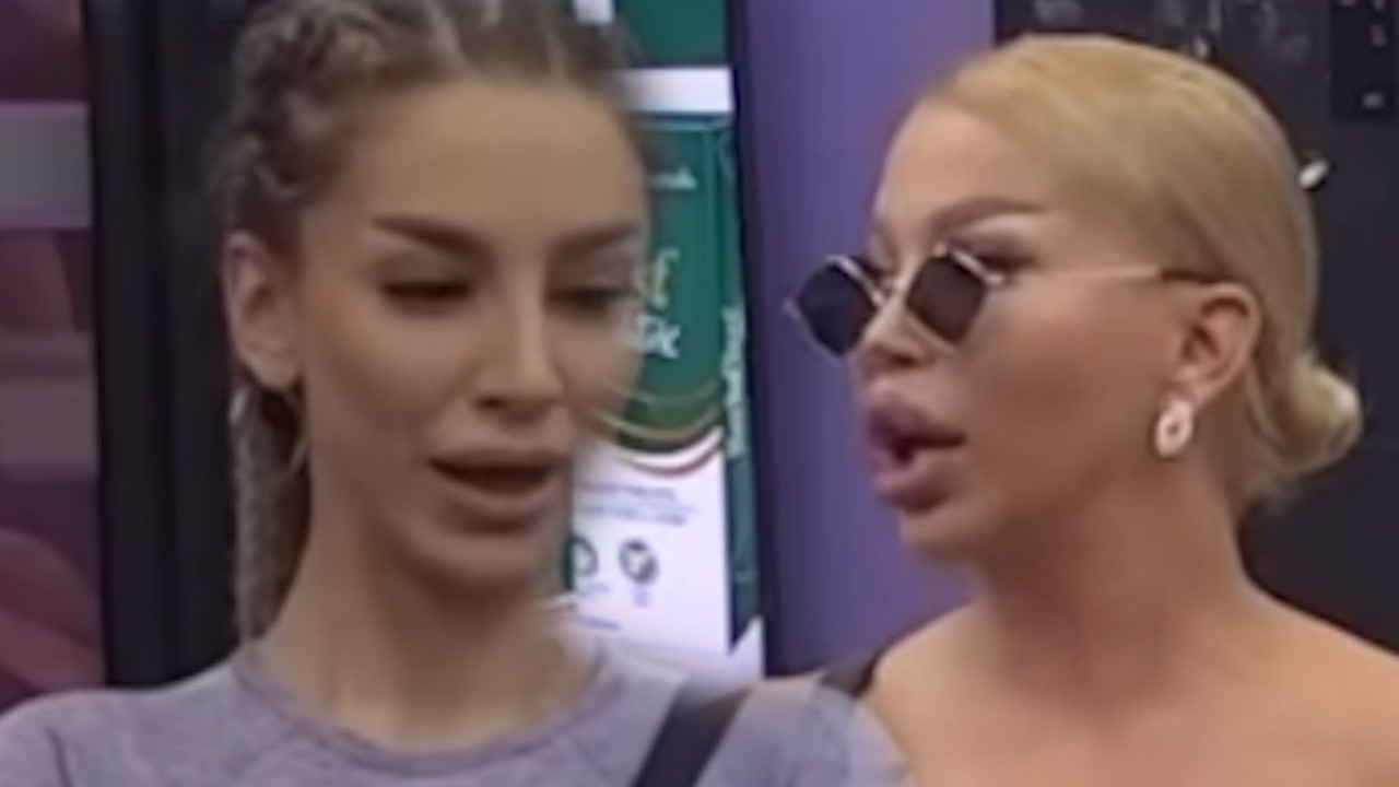Zadruga 6