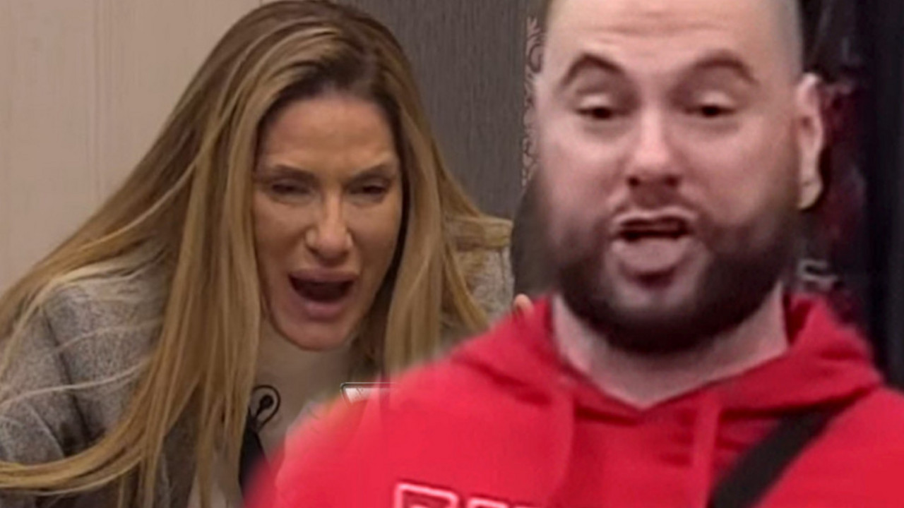 Zadruga 6