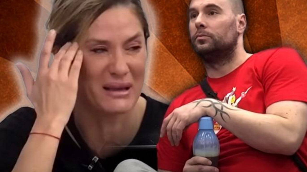 Zadruga 6