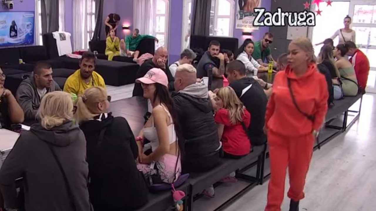 Zadruga 6