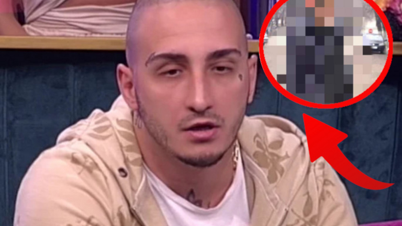 Vuk Mob