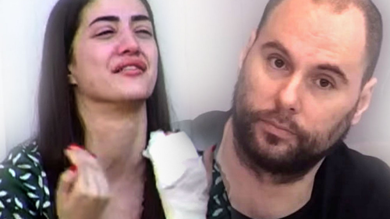 Zadruga 6
