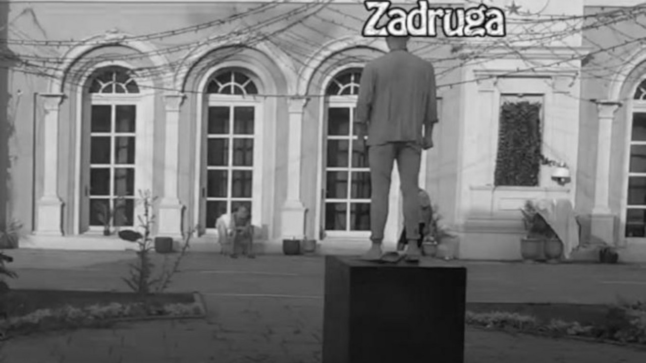zadruga