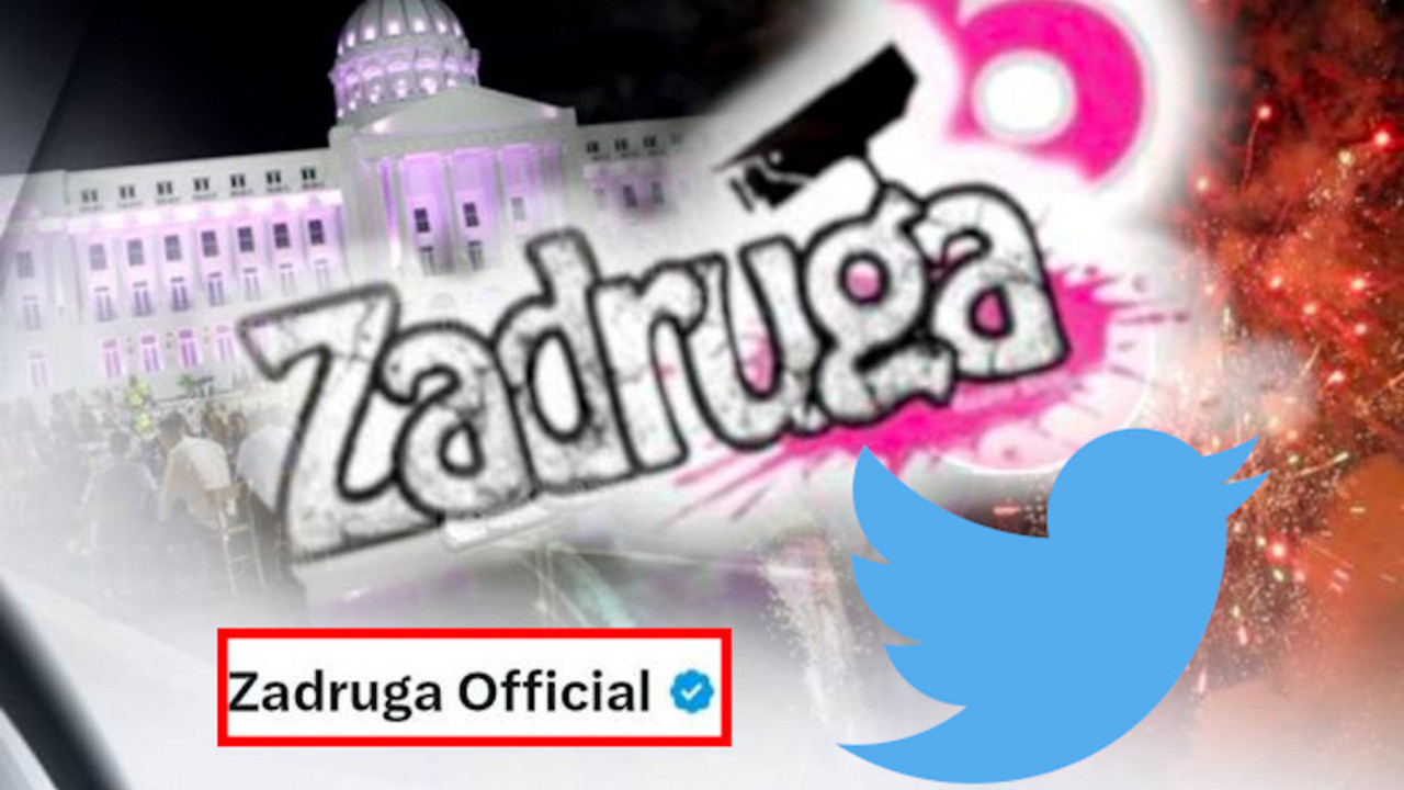 Zadruga 6