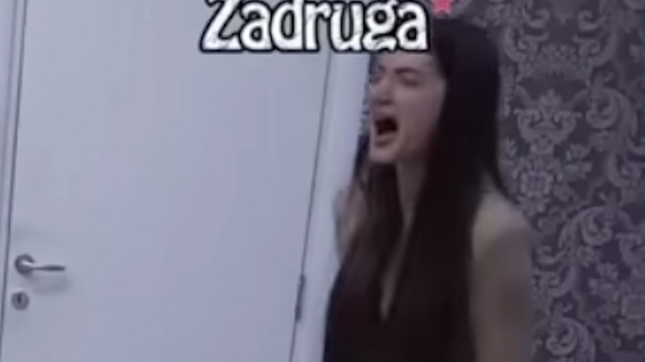 Zadruga 6
