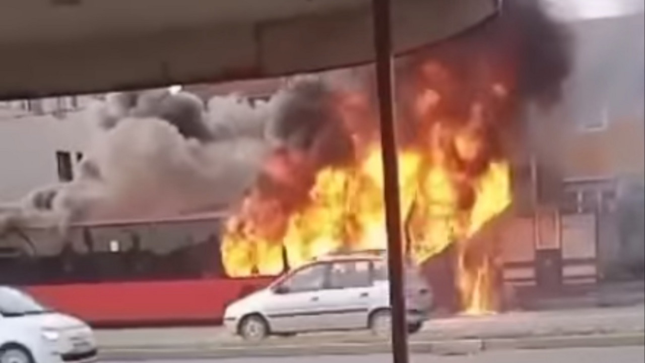Niš autobus