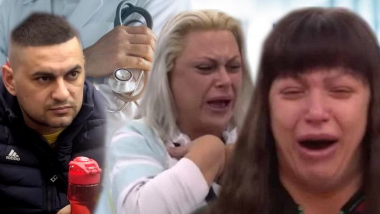 Zadruga 6