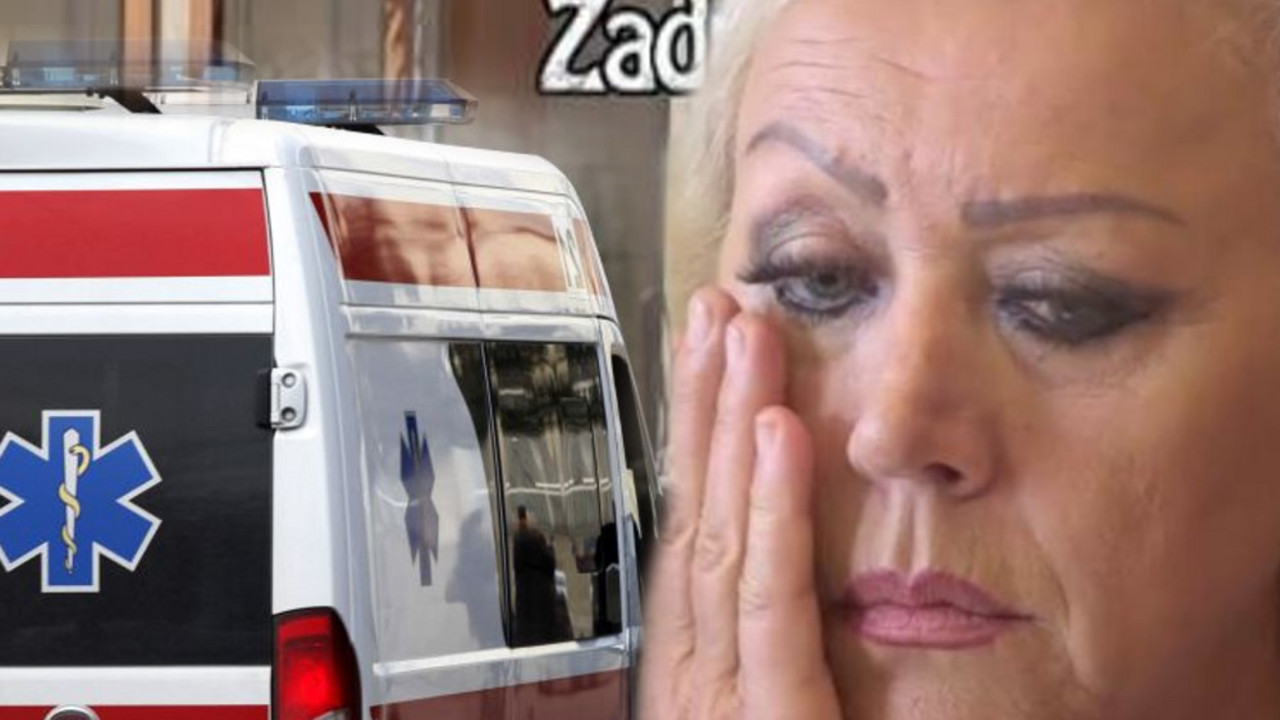 Zadruga 6