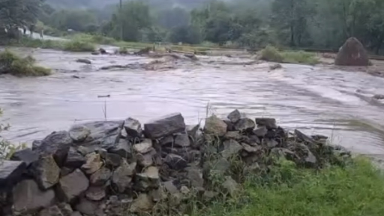 Poplave